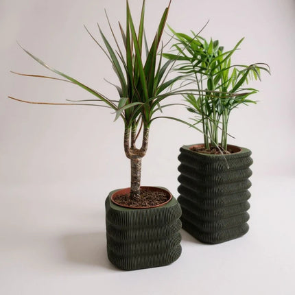 Écorce Urbaine – Duo de cache-pots décoratifs en PLA mat avec plantes d'intérieur.
