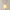 Lampe artisanale en impression 3D sur fond clair, collection Lueurs Sauvage - design