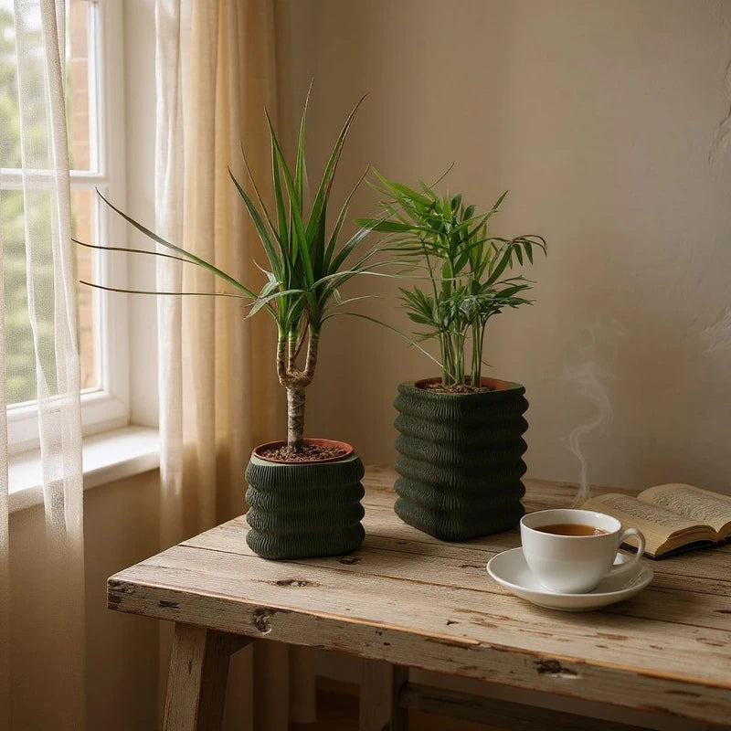 Écorce Urbaine – Duo de cache-pots décoratifs en PLA mat