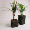 Écorce Urbaine – Duo de cache-pots décoratifs en PLA mat avec plantes d'intérieur.