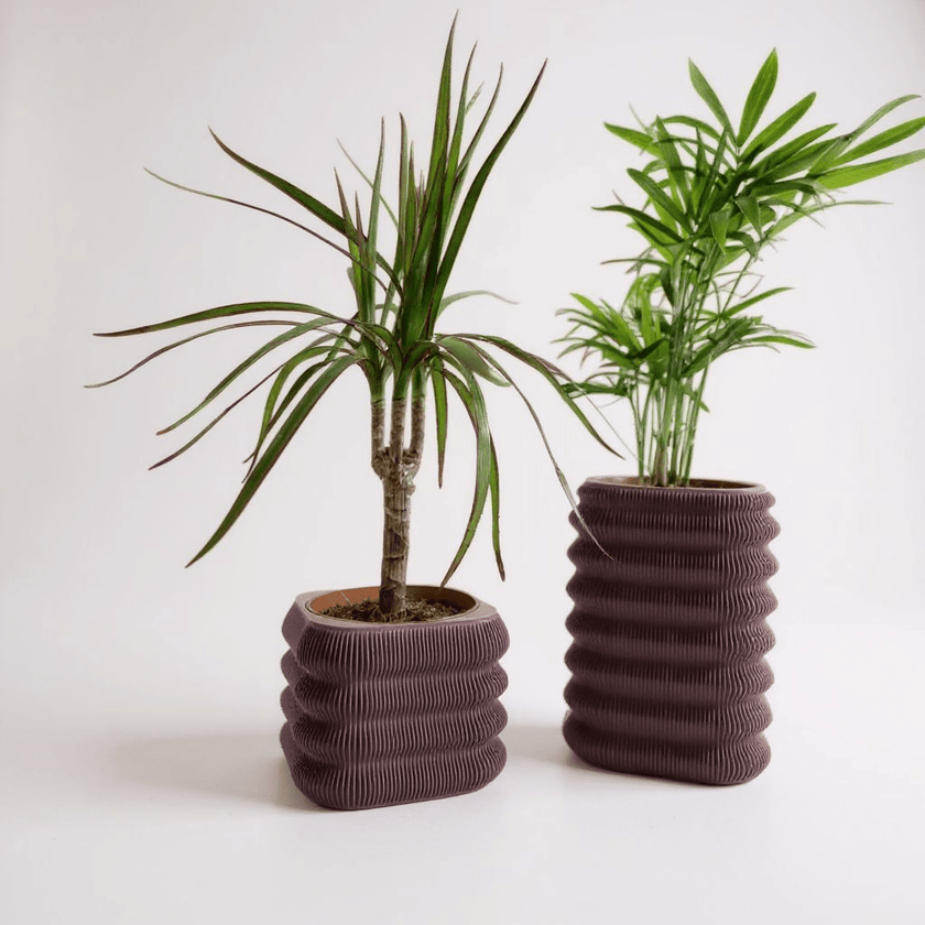 Écorce Urbaine – Duo de cache - pots décoratifs en PLA mat - Racines Sauvages