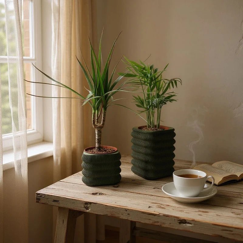 Écorce Urbaine – Duo de cache - pots décoratifs en PLA mat - Racines Sauvages