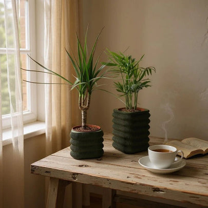 Écorce Urbaine – Duo de cache - pots décoratifs en PLA mat - Racines Sauvages
