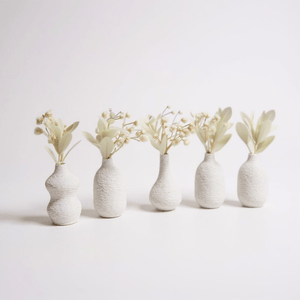 🌿 Floréole – Mini Vase Magnétique - Racines Sauvages