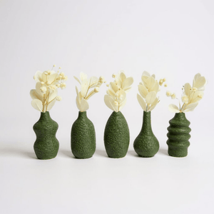 🌿 Floréole – Mini Vase Magnétique - Racines Sauvages